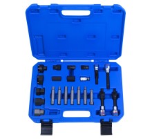 Набор специальных головок для ремонта генератора, 22 предмета KING TONY 9DA022