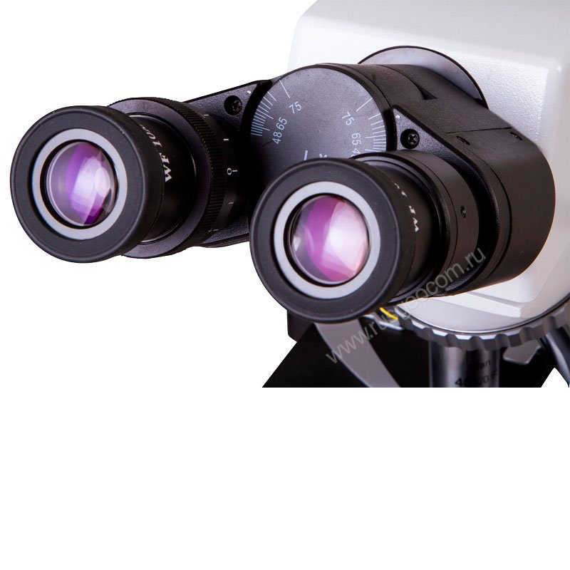 Микроскоп Levenhuk MED 40B
